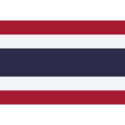 主队